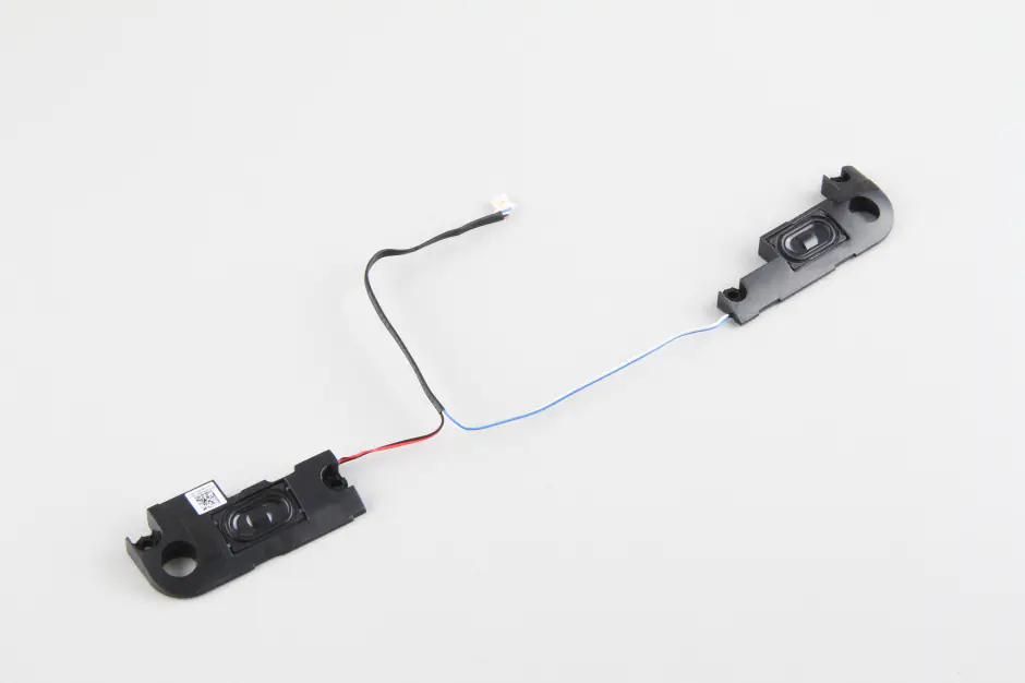 Speaker module