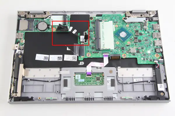 Remove the motherboard