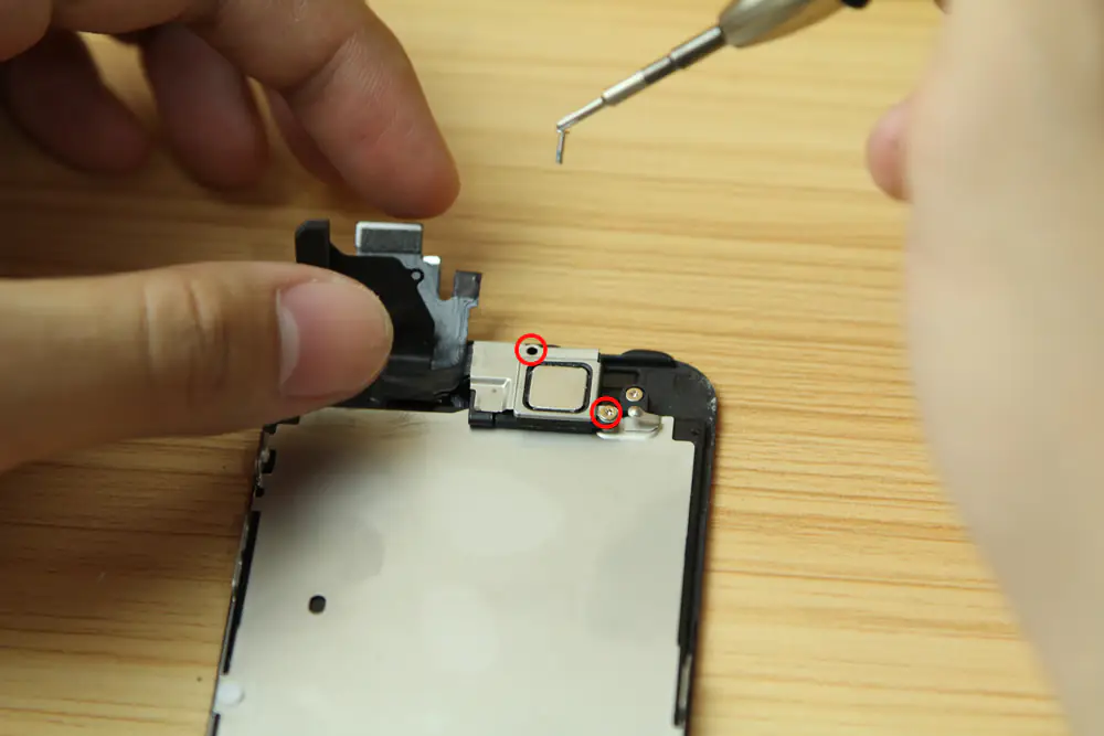 Remove the two screws