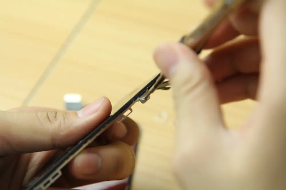 Remove the two screws