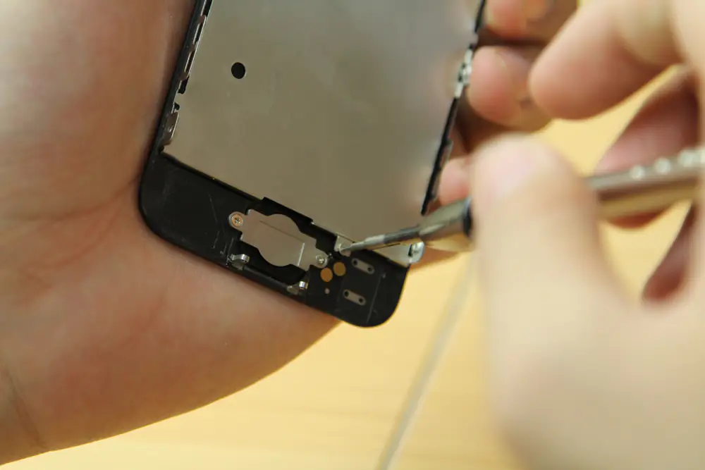 Remove the two screws