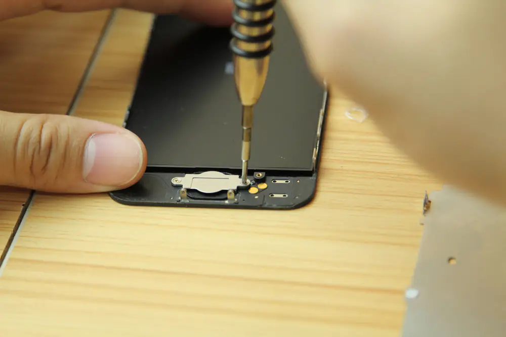 Remove the two screws securing the home button bracket