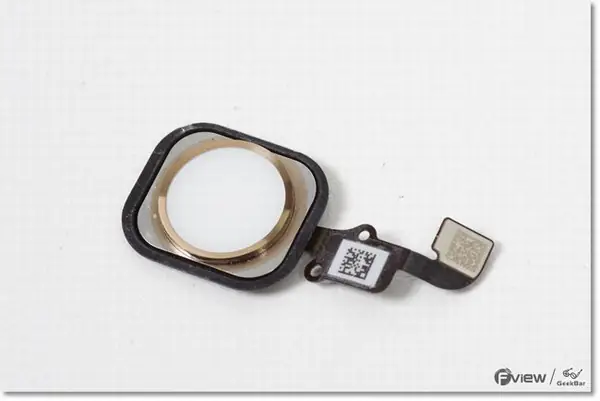 Home button