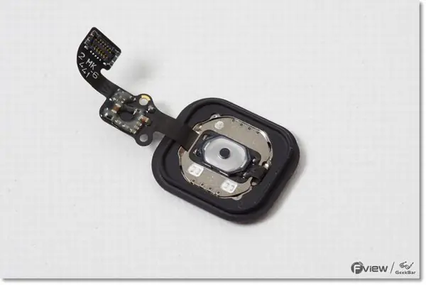 Home button
