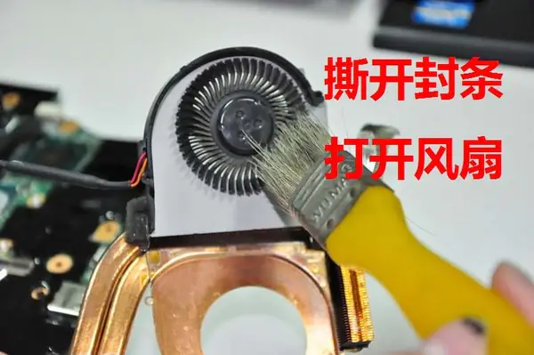 Clean the cooling fan