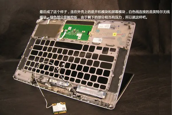 Palm rest and wireless card