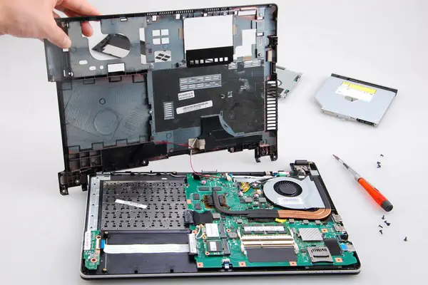 Remove the bottom cover