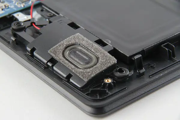 Right speaker module
