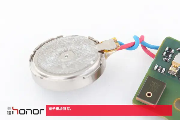 Vibrator module