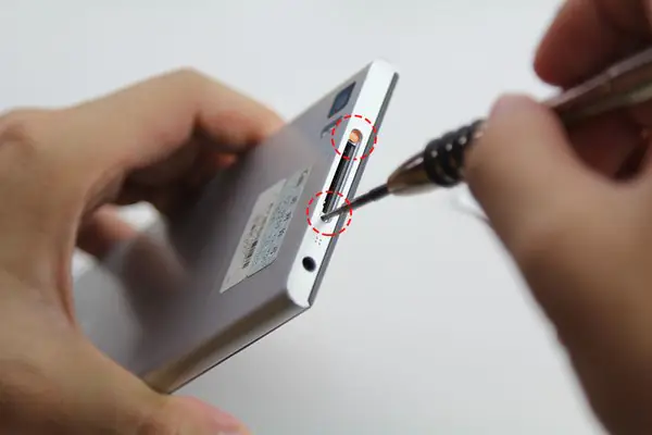 You can find two screws in the card slot