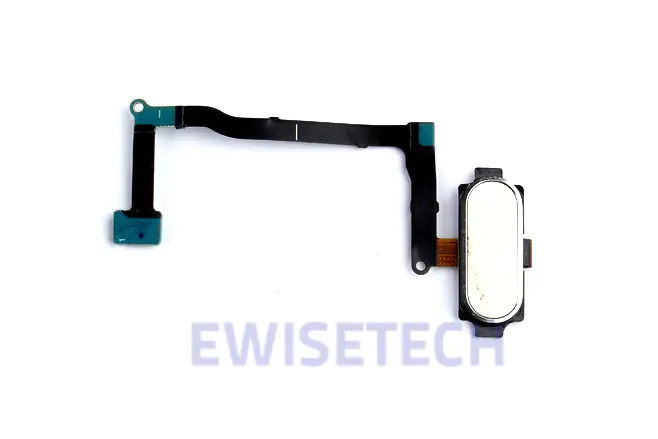 Home button module