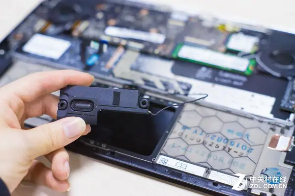 Remove the four screws securing the speaker modules