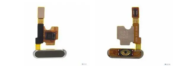 Fingerprint module