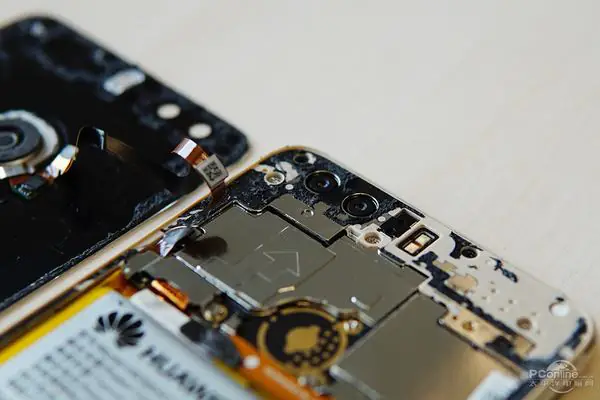 Fingerprint module