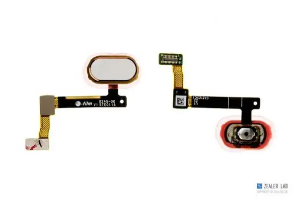 Fingerprint identification module