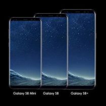 Samsung Galaxy S8 mini