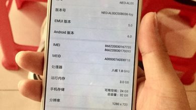 Huawei RNE leak 2