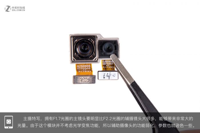 dual-rear camera setup