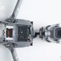 L1D-20c