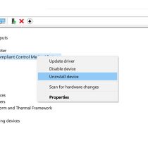 Uninstall battery driver