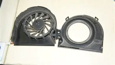 Clean the fan