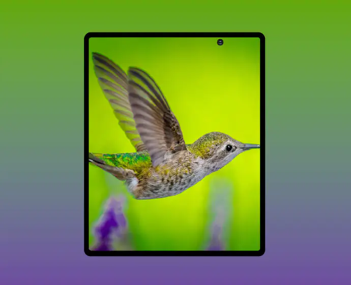 Galaxy Fold2 Renders