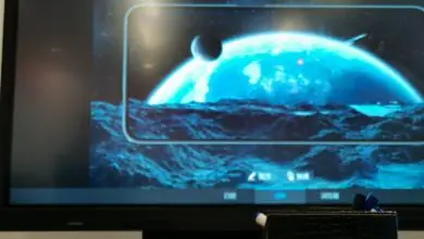 Honor X10 Max screen information