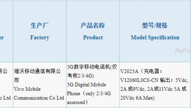 Vivo V2025A 3C Certification