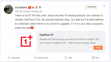 OnePlus 8T Pro Version Cancelled