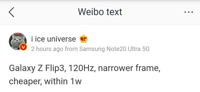 Z Flip 3 Display