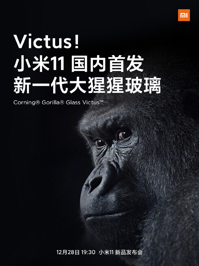 Gorilla Glass Victus. Corning Gorilla Glass Victus. Kinkong Gorilla Glass. Corning Gorilla Glass 5 или Gorilla Glass Victus. Corning gorilla victus