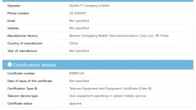 Realme C20 4G NBTC Certification