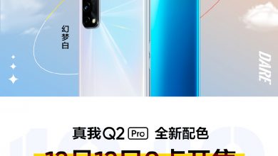 Realme Q2 Pro