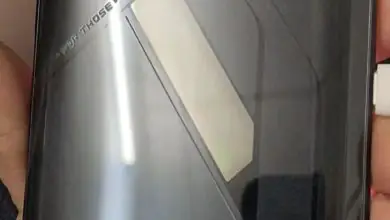 ASUS ROG Phone 5 Live Image
