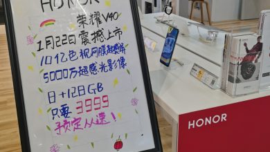 Honor V40 Basic Variant Price