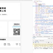 Four new products will be launched with Honor V40