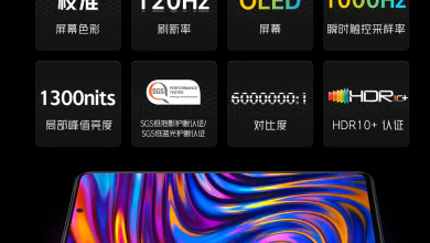 iQOO Neo5 screen specs