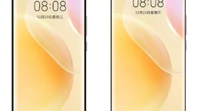 Honor 50 series renders (2)