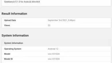vivo V2102A Geekbench