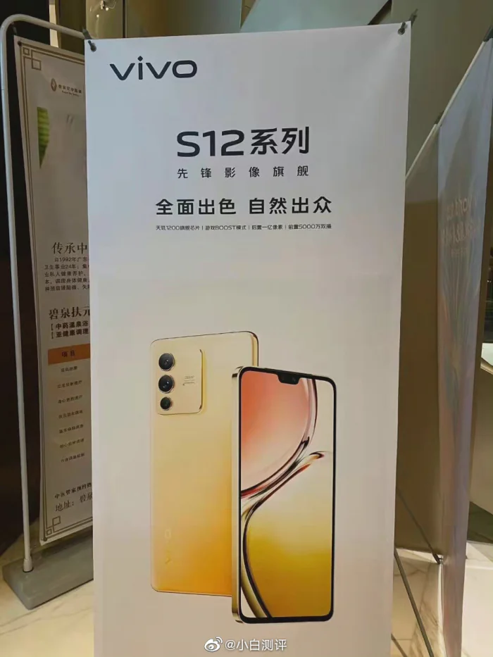 Vivo S12 series