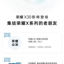 Honor X30