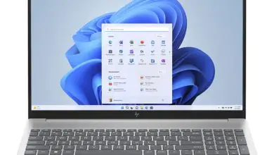 HP Pavilion Plus 16 Display