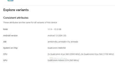 Honor Magic6 Lite 5G specs